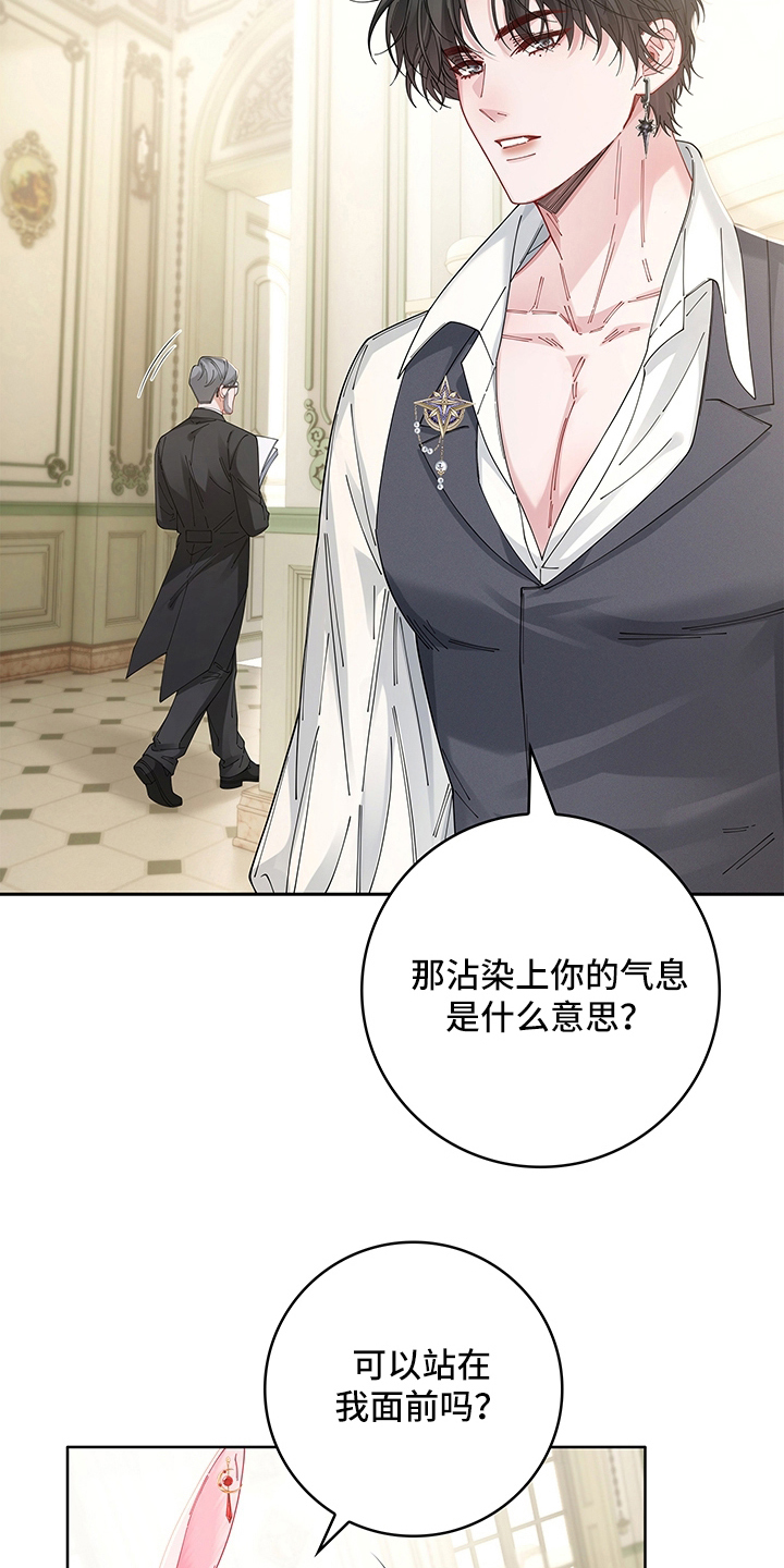 黑狼公爵的兔子漫画,第19章：合约2图