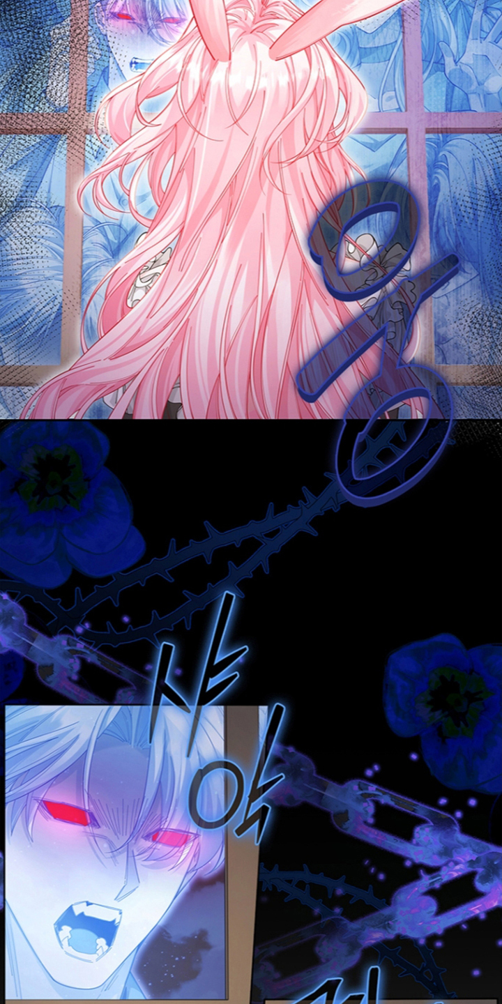 黑狼公爵的兔子漫画,第12章：做点什么5图