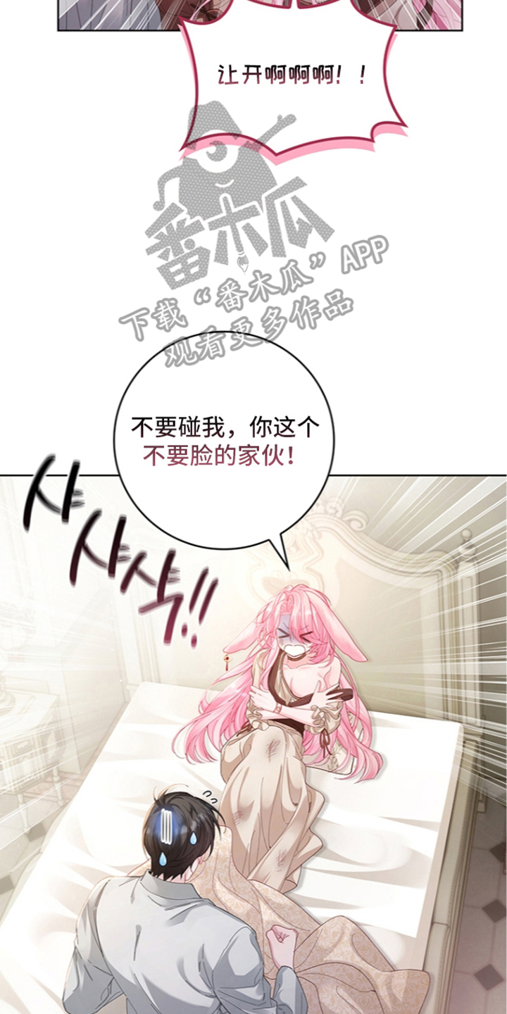 黑狼公爵的兔子漫画,第3章：苏醒3图