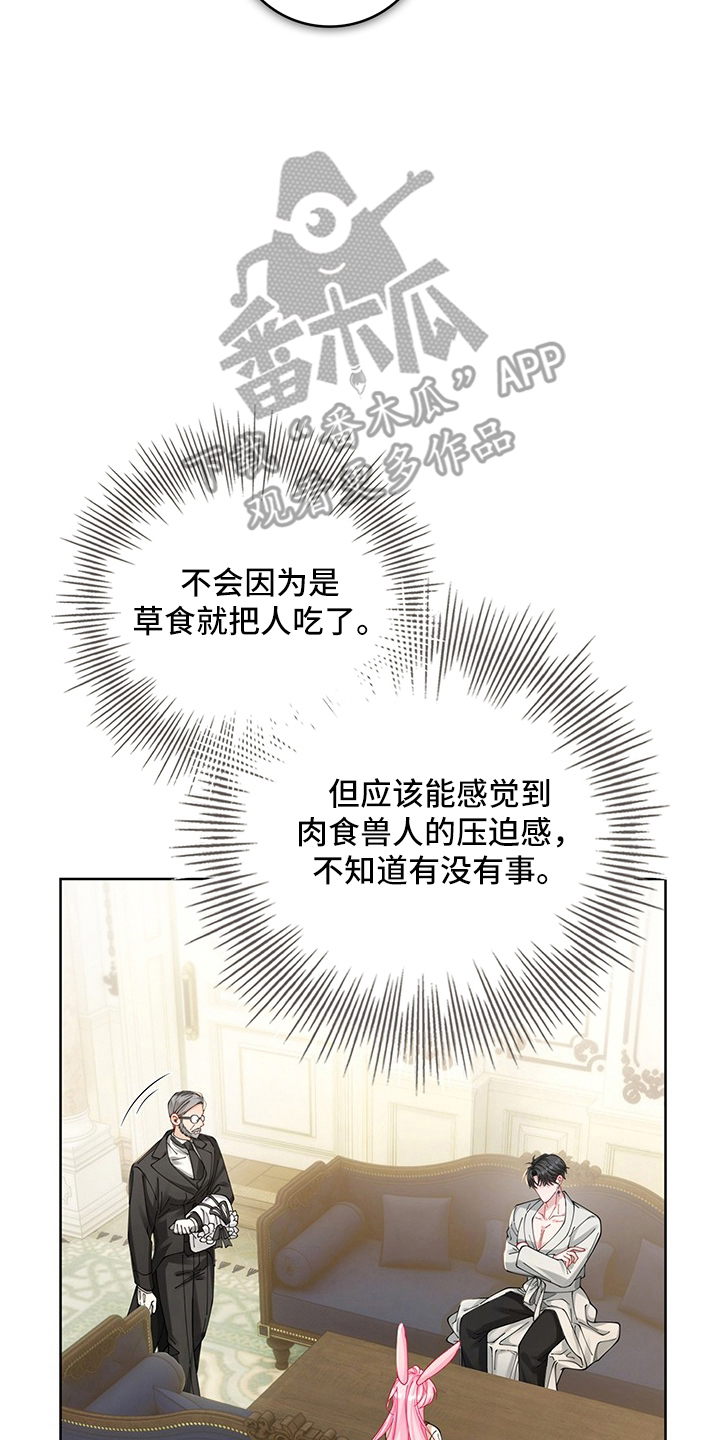 黑狼公爵的兔子漫画,第10章：侍女装4图