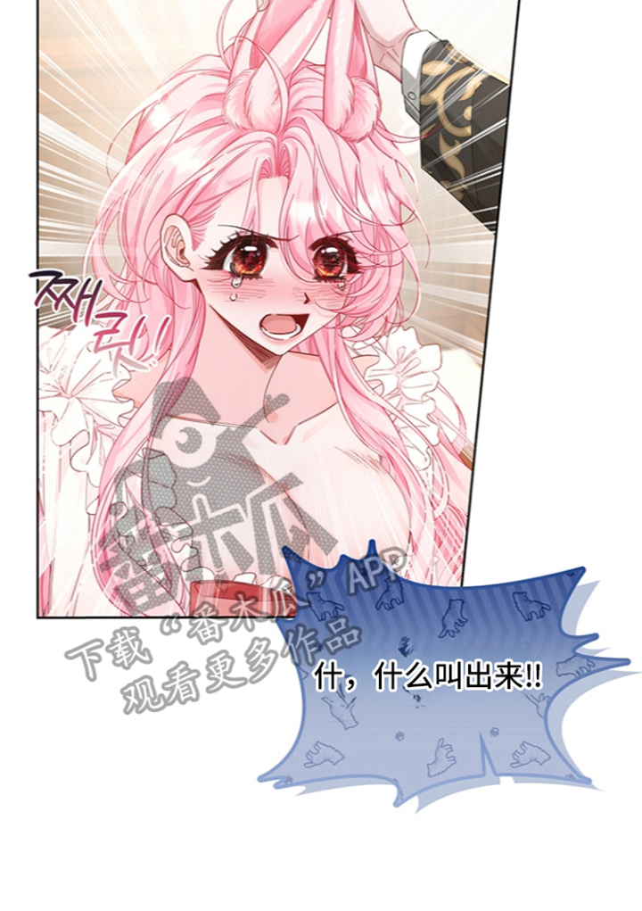 狼王子与黑公主动漫漫画,第16章：兔耳朵3图