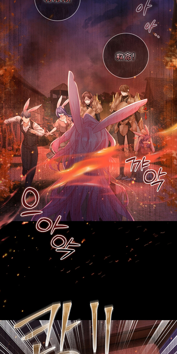 黑狼公爵的兔子漫画,第4章：袭击2图