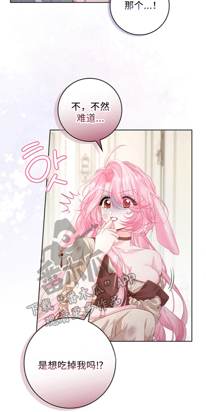 黑狼公爵的兔子漫画,第3章：苏醒5图