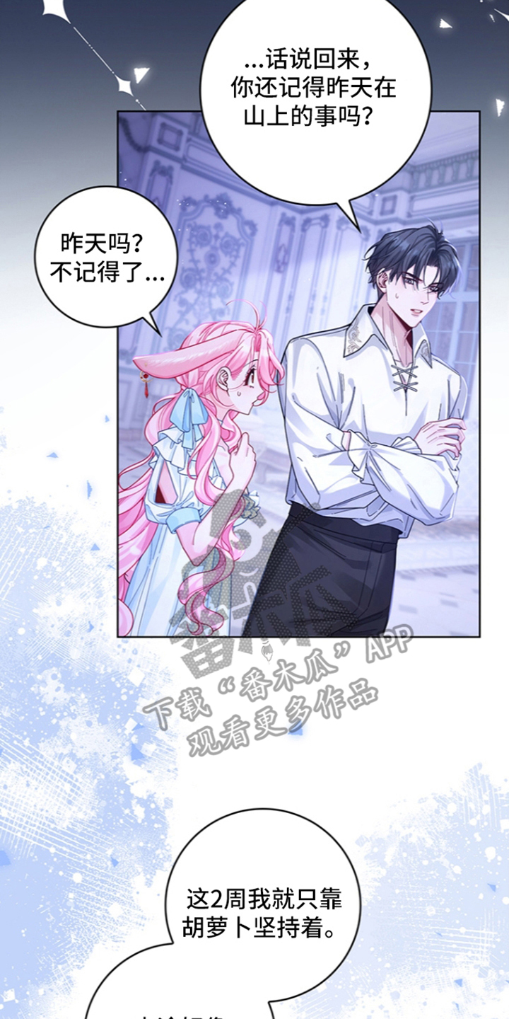 黑狼公爵的兔子漫画,第13章：一起睡4图