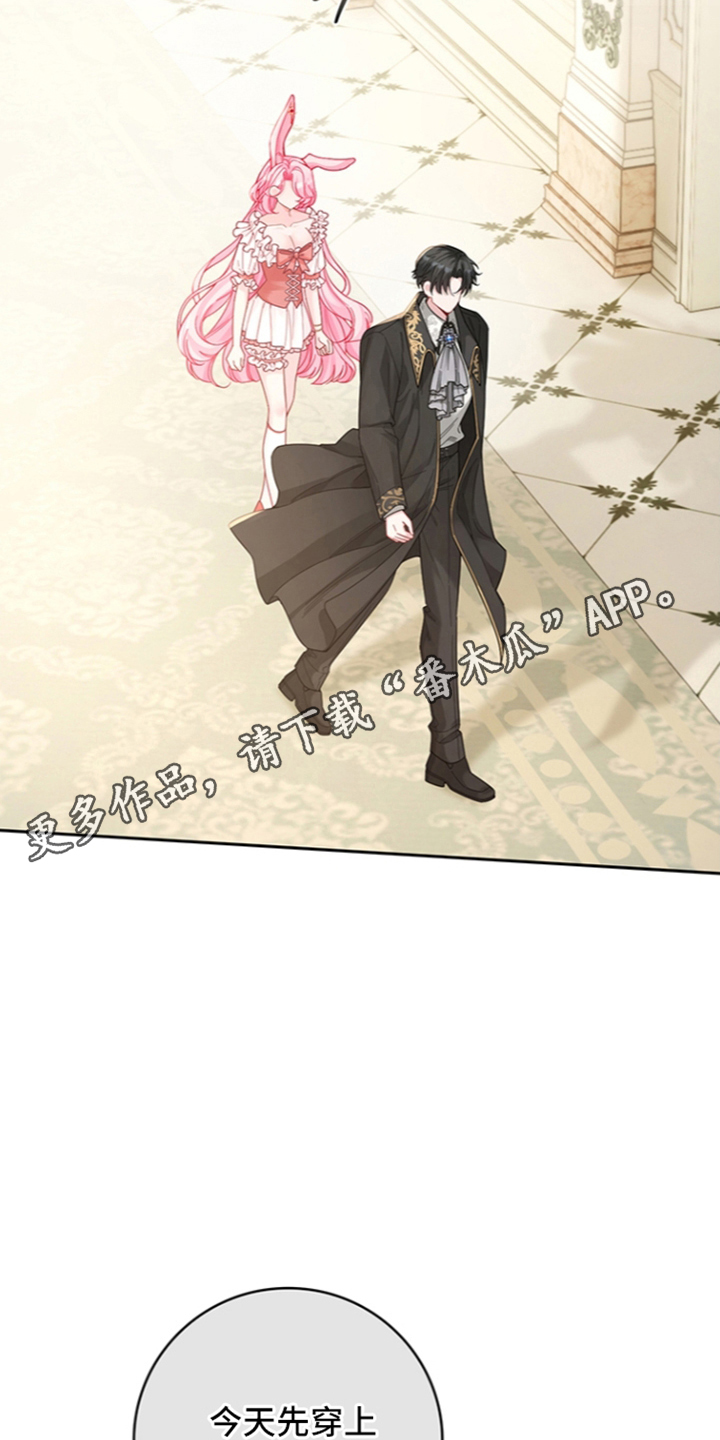 黑狼公爵的兔子漫画,第14章：新衣服1图