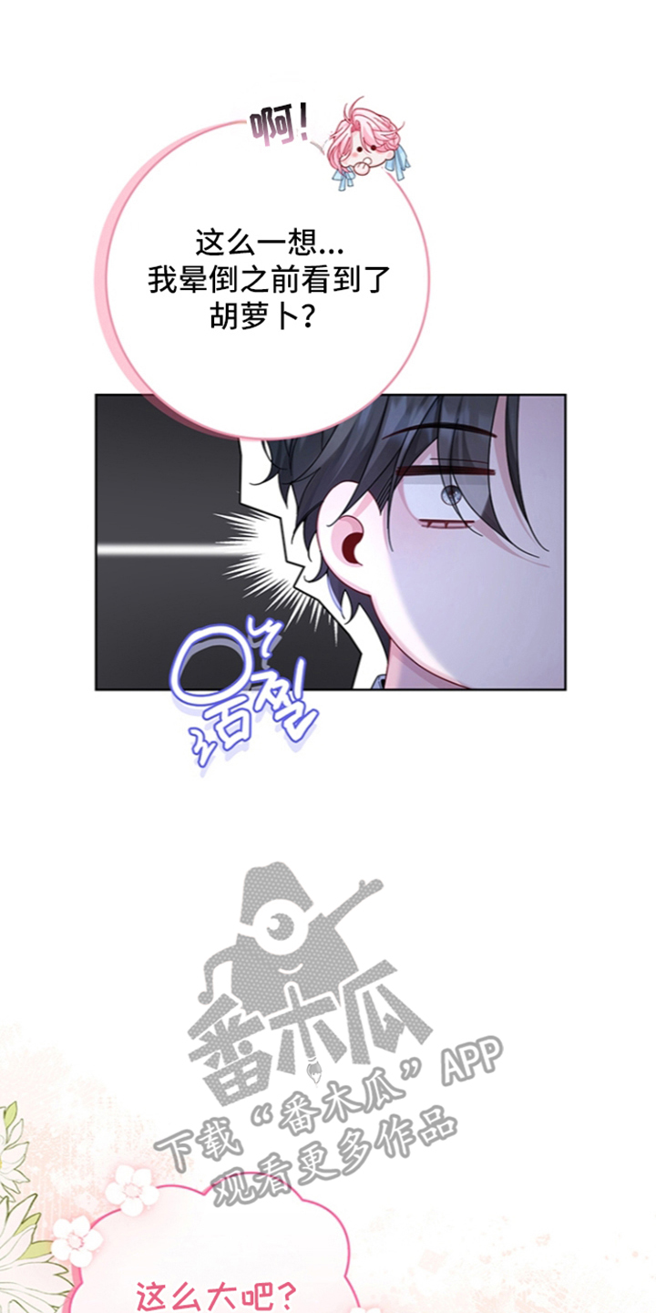黑狼公爵的兔子漫画,第13章：一起睡1图