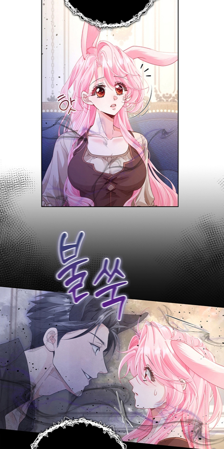 黑狼公爵的兔子漫画,第6章：怎么证明1图