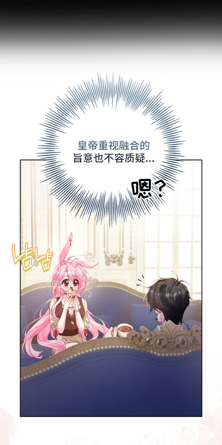 黑狼公爵的兔子漫画,第5章：求助5图