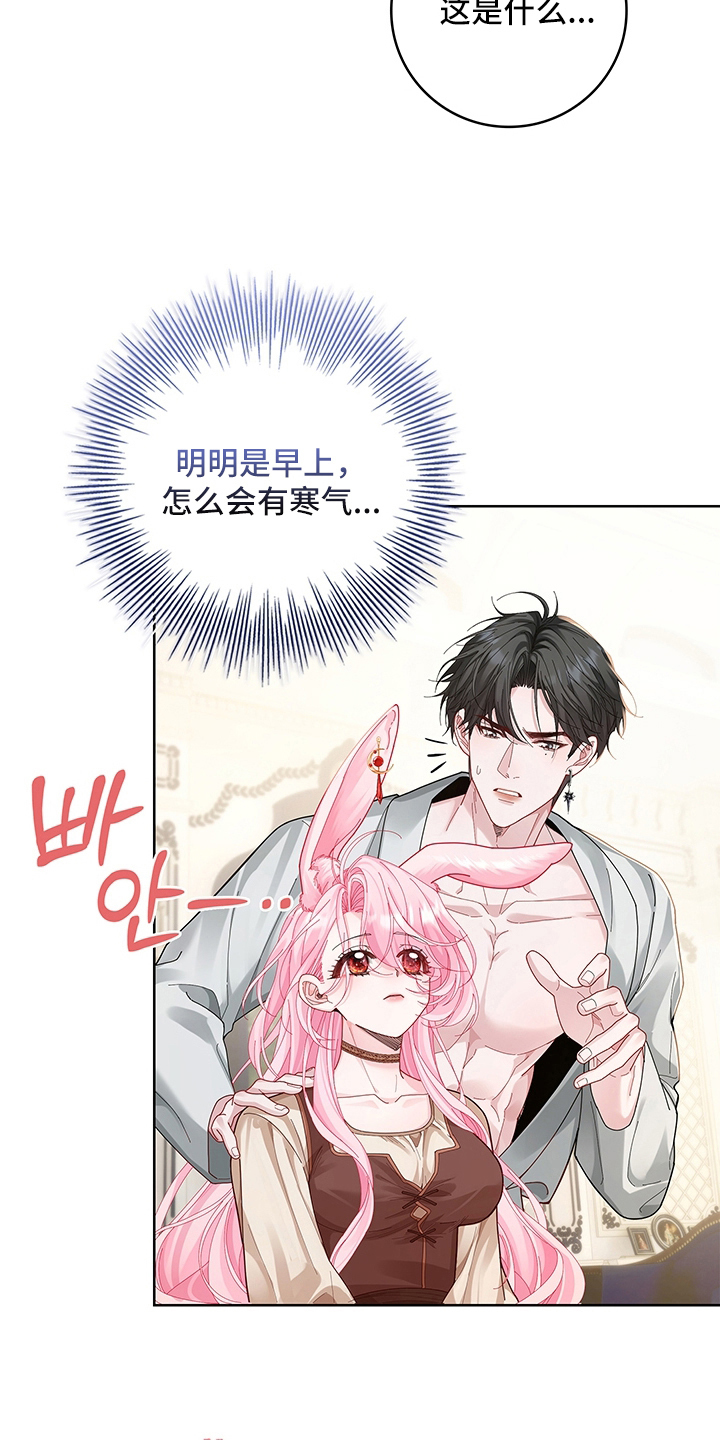 黑狼公爵的兔子漫画,第9章：一周3图