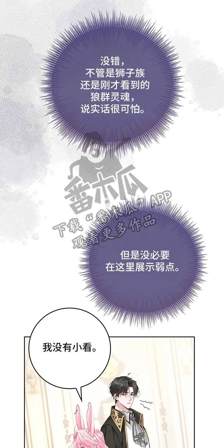 黑狼公爵的兔子漫画,第11章：得到他的认可1图