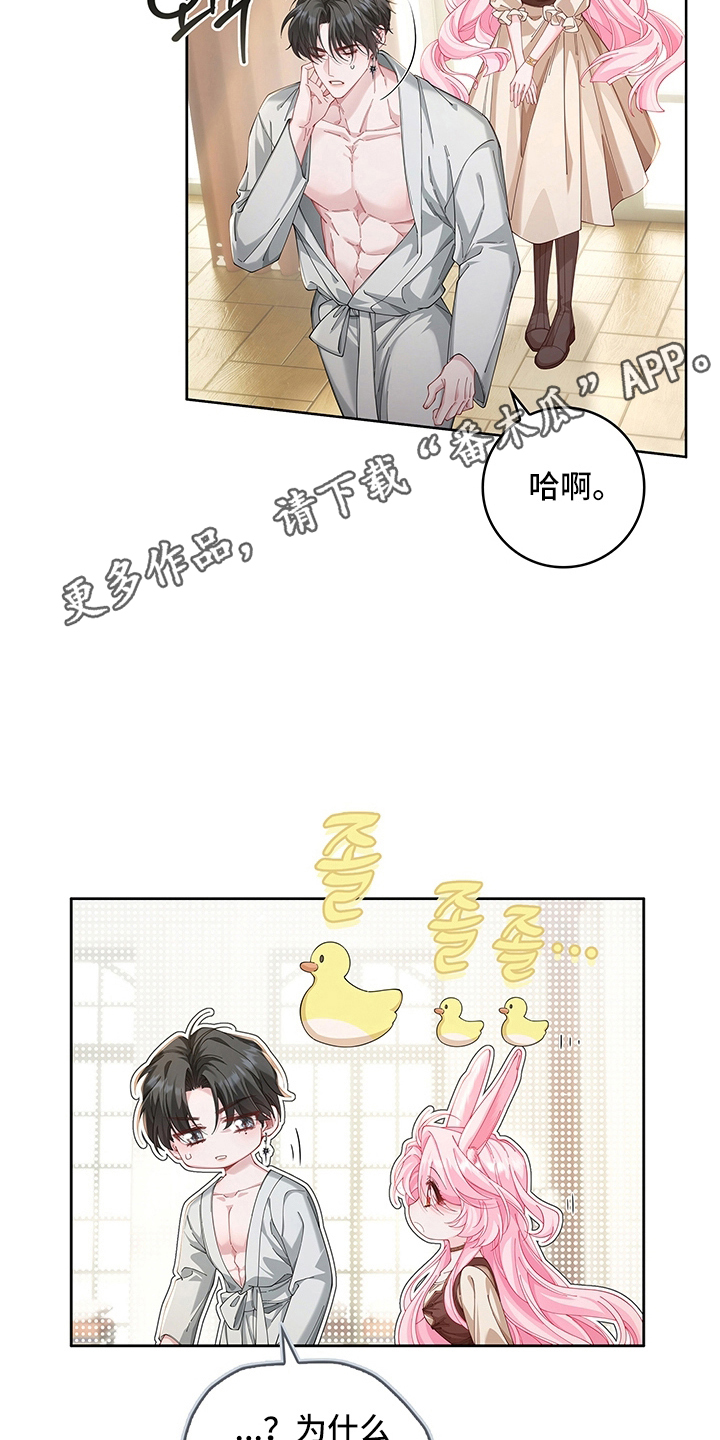 黑狼公爵的兔子漫画,第9章：一周1图