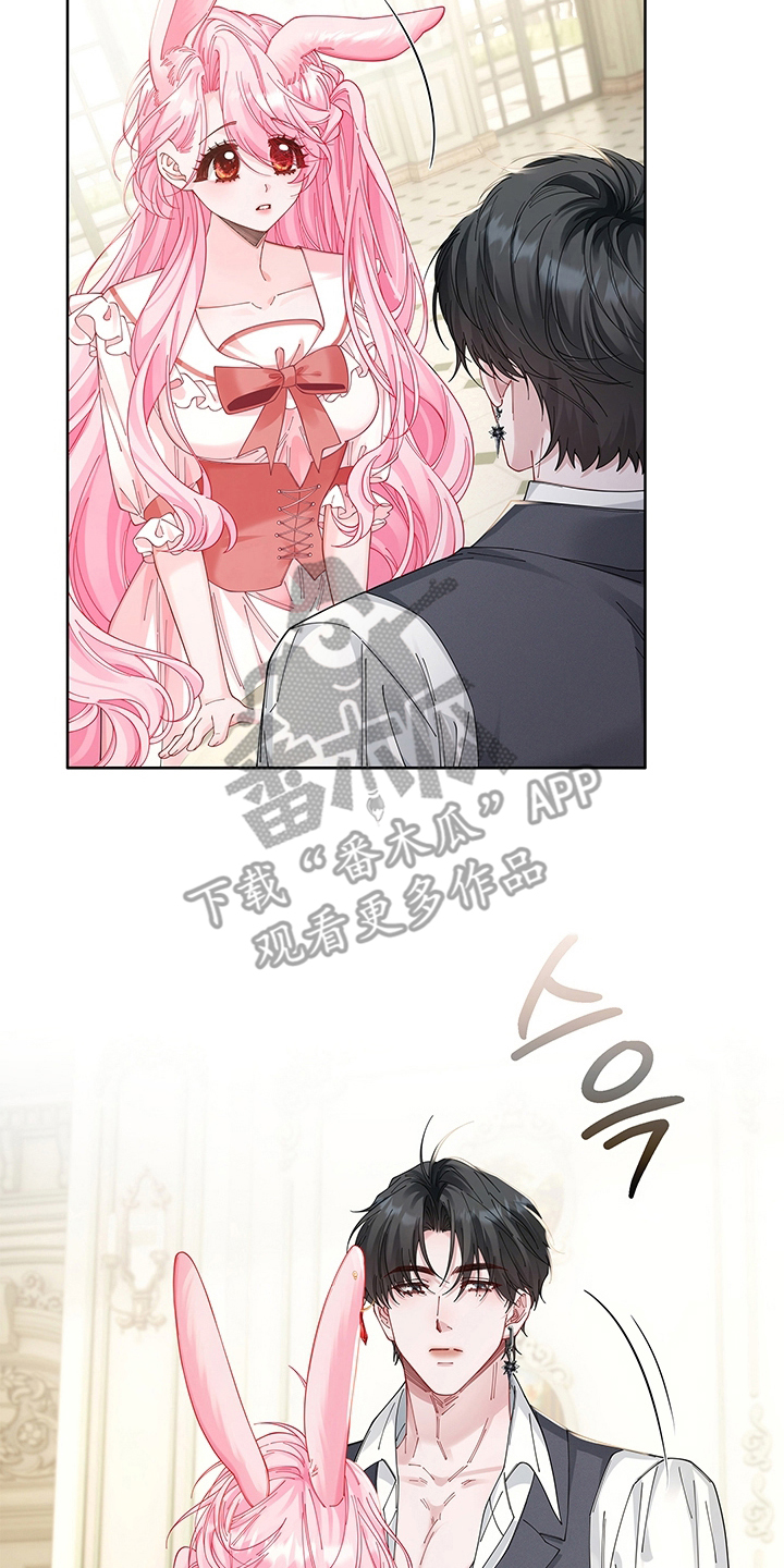 黑狼公爵的兔子漫画,第19章：合约3图