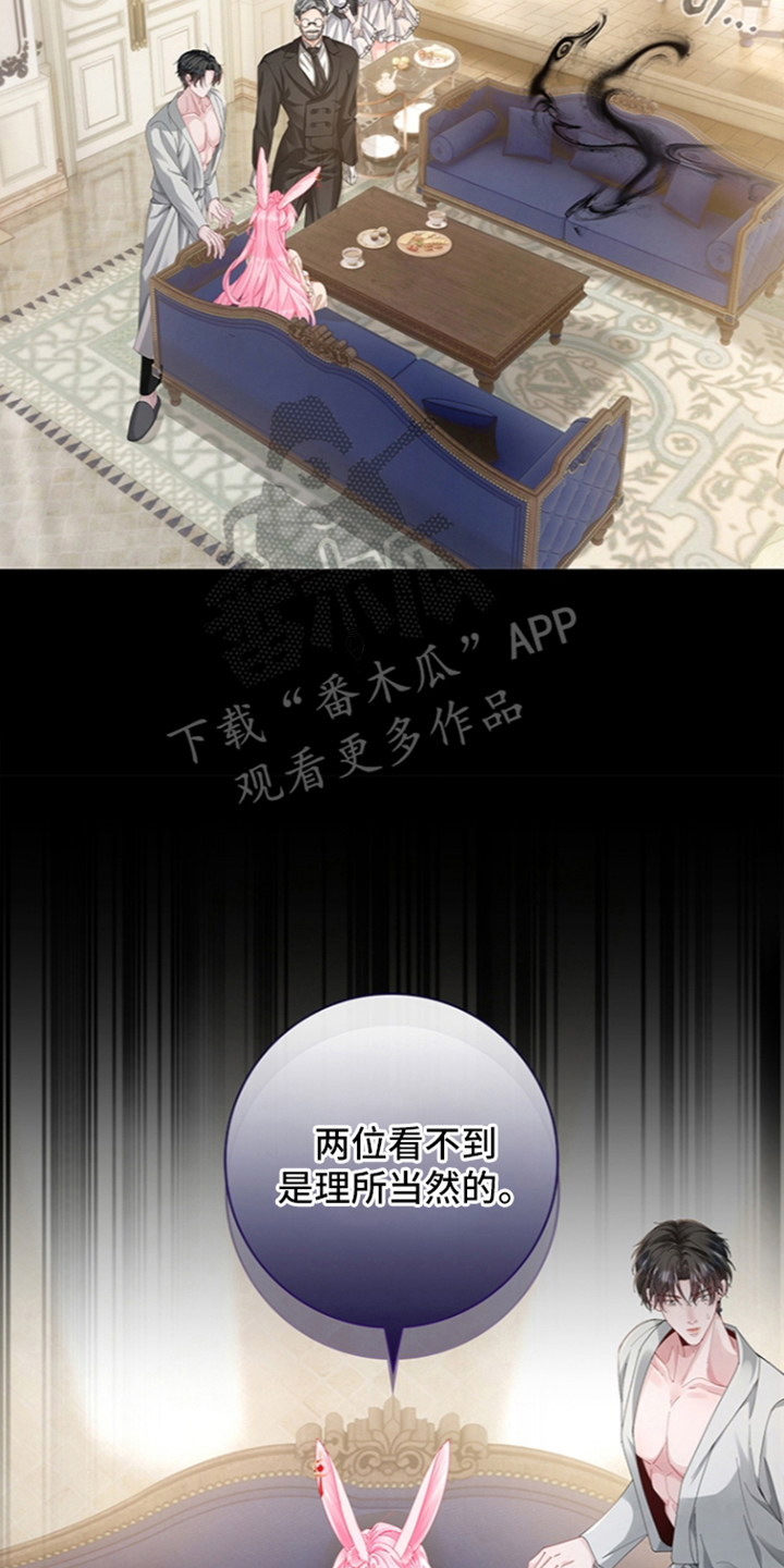 黑狼公爵的兔子漫画,第6章：怎么证明3图