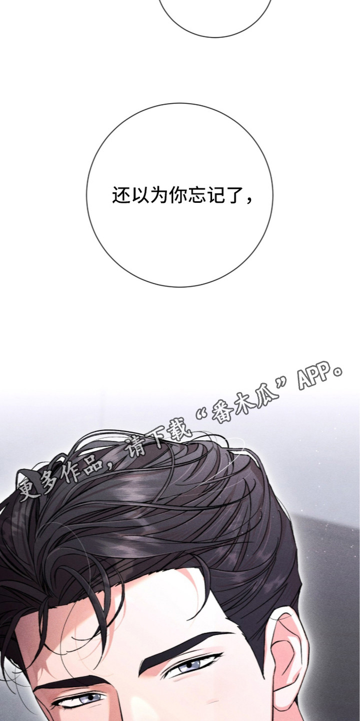 哥哥的糖果漫画,第7章：住处4图