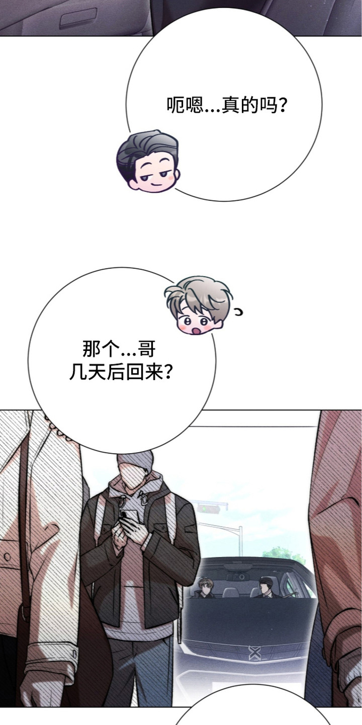 哥哥的糖果讲解漫画,第16章：好奇心4图