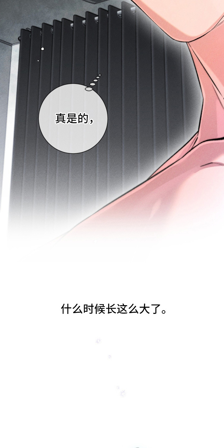 哥哥的糖果漫画,第12章：误解4图