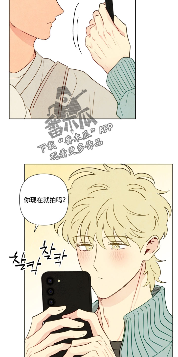 与神相拥漫画全集免费阅读漫画,第102章：【番外】第一次翻身4图