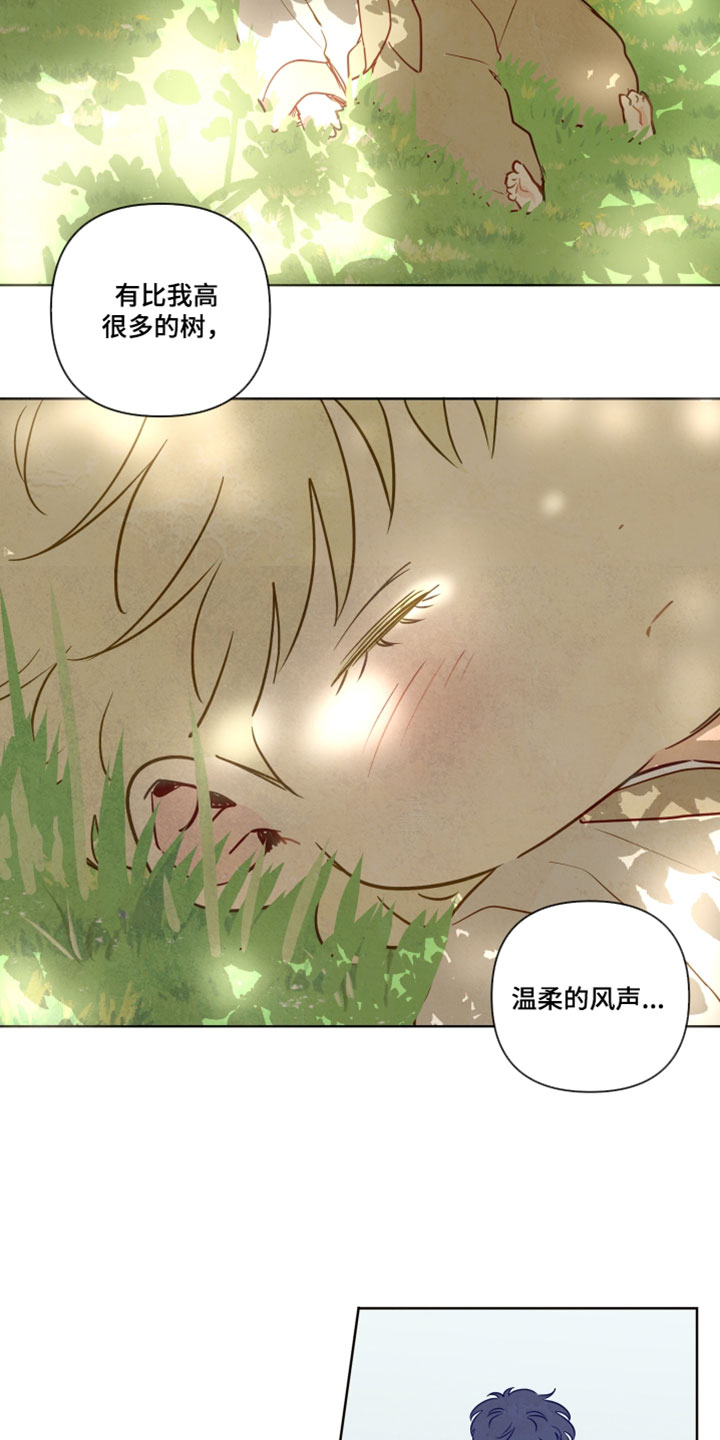 与神相拥完整版漫画,第99章：【番外】唱儿歌5图
