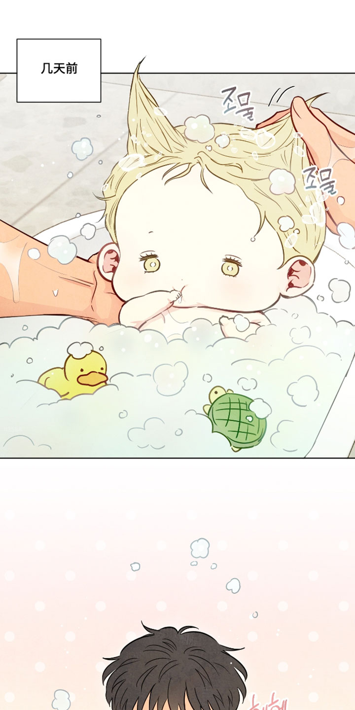 与神相拥第二季叫什么漫画,第108章：【番外】浪漫的一面1图