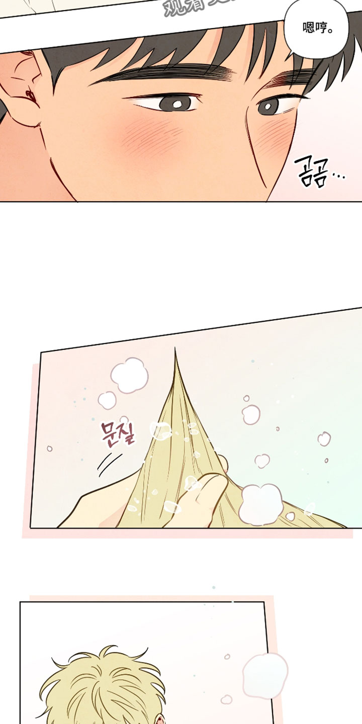 与神相拥漫画生孩子片段漫画,第108章：【番外】浪漫的一面4图