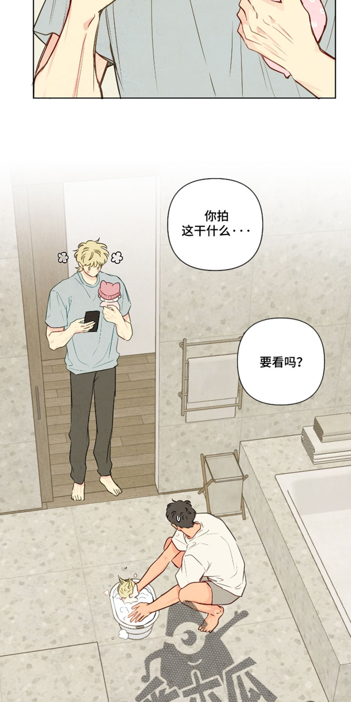 与神相拥第二季叫什么漫画,第108章：【番外】浪漫的一面4图