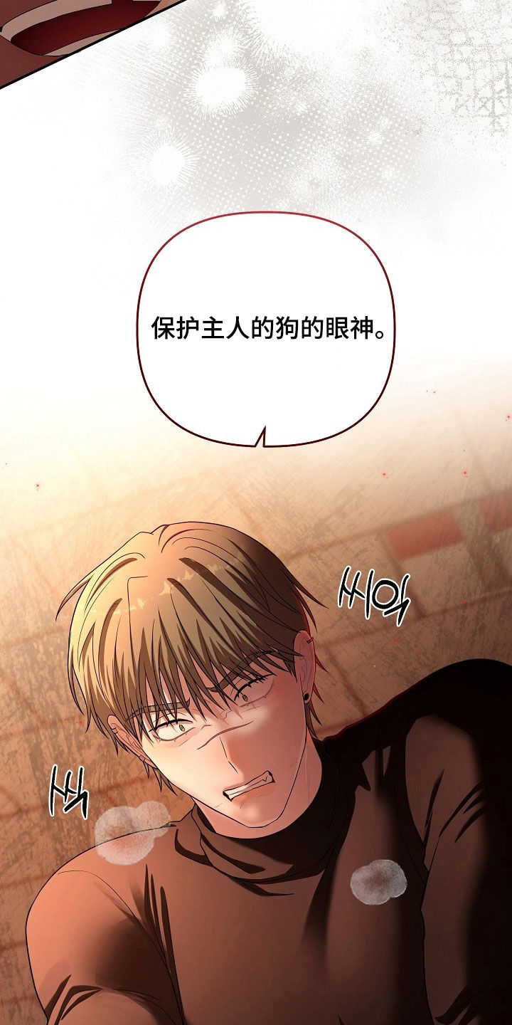 类似异热共生的韩漫漫画,第97章：乖乖被我打1图