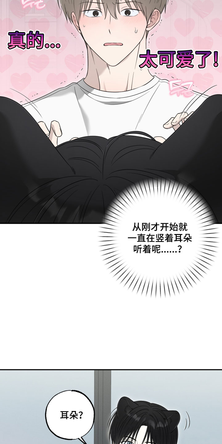 偶像有猫腻漫画,第68章：【第二季】什么感觉1图