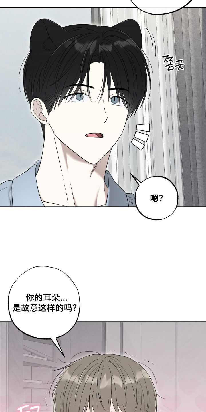 偶像有猫腻漫画,第68章：【第二季】什么感觉5图