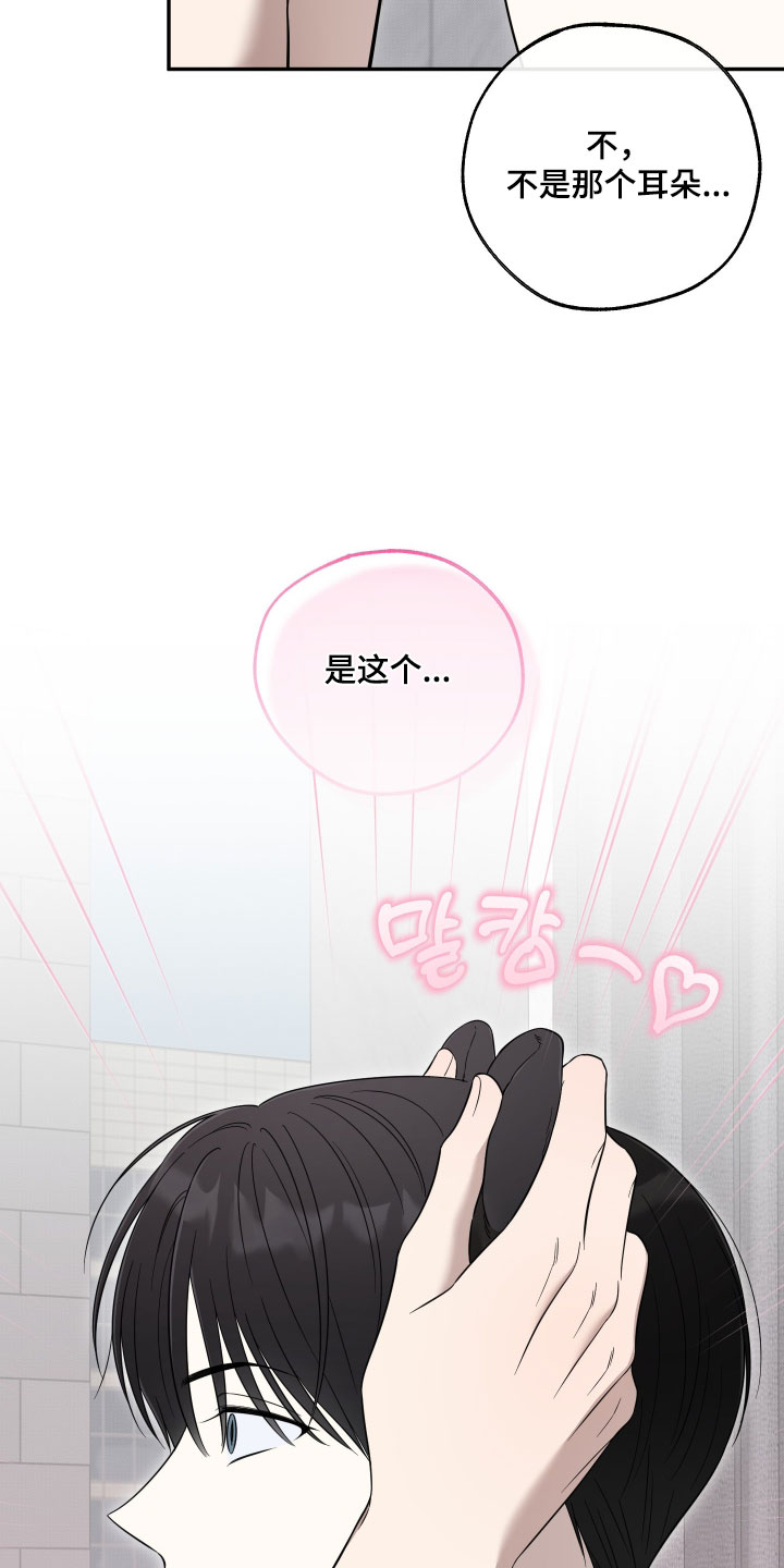 偶像有猫腻漫画,第68章：【第二季】什么感觉3图