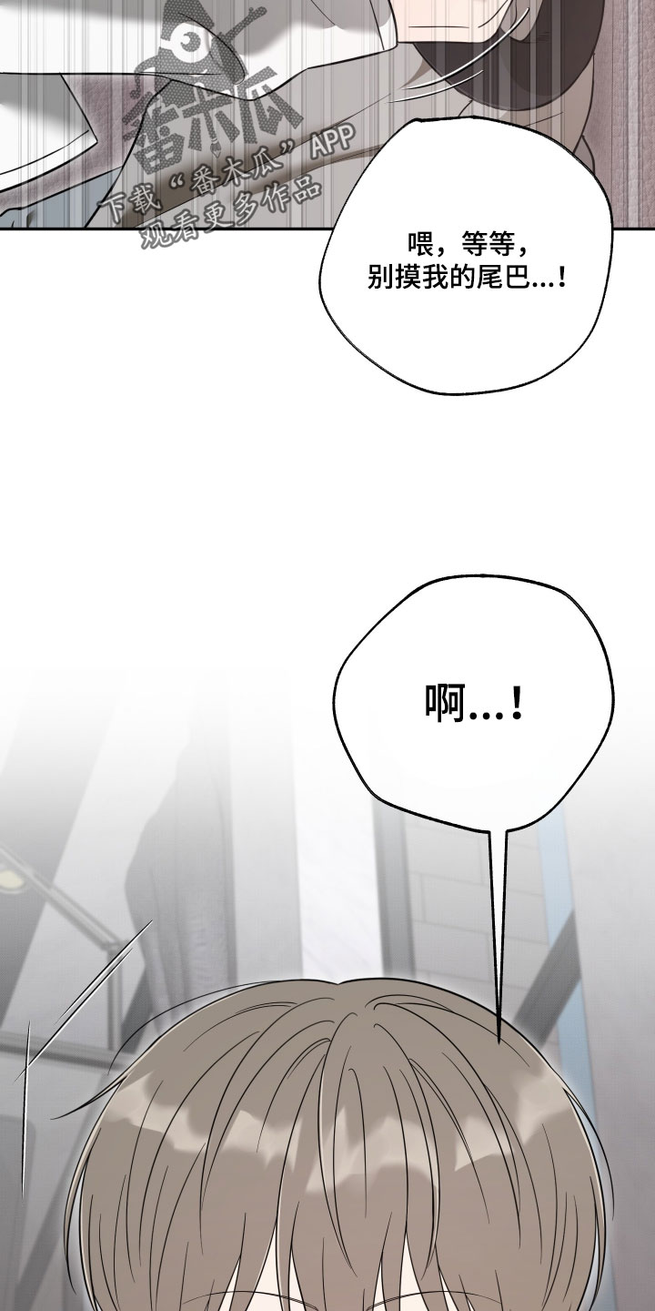 偶像有猫腻漫画,第69章：【第二季】到此为止吧2图