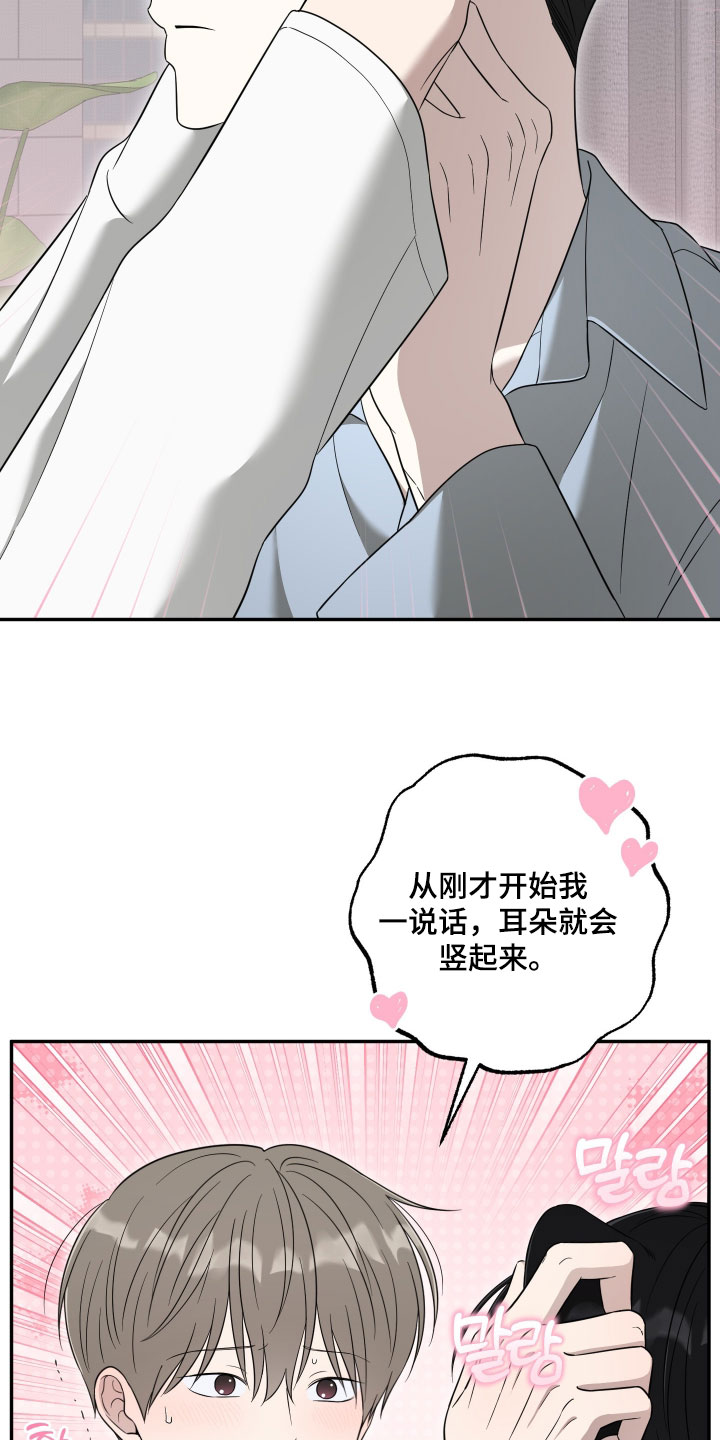偶像有猫腻漫画,第68章：【第二季】什么感觉4图