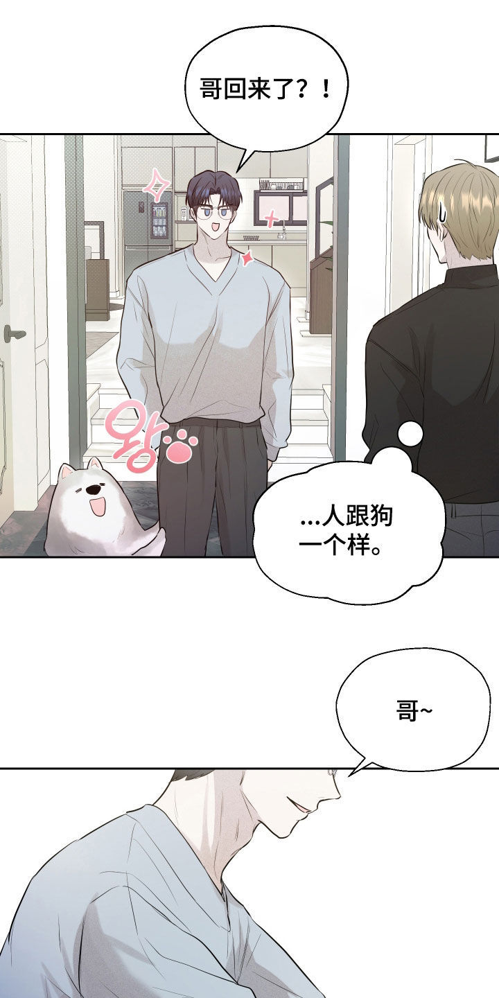 禁区内的谎言漫画,第60章：【第二季】一直在等你5图