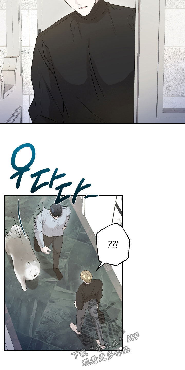 禁区内的谎言漫画,第60章：【第二季】一直在等你4图