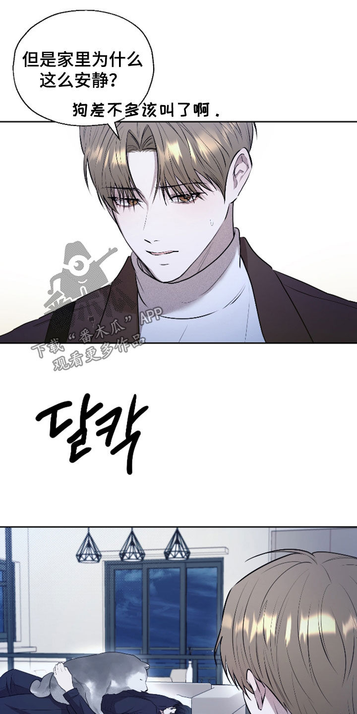 禁区内的谎言漫画,第52章：【第二季】你别管了4图