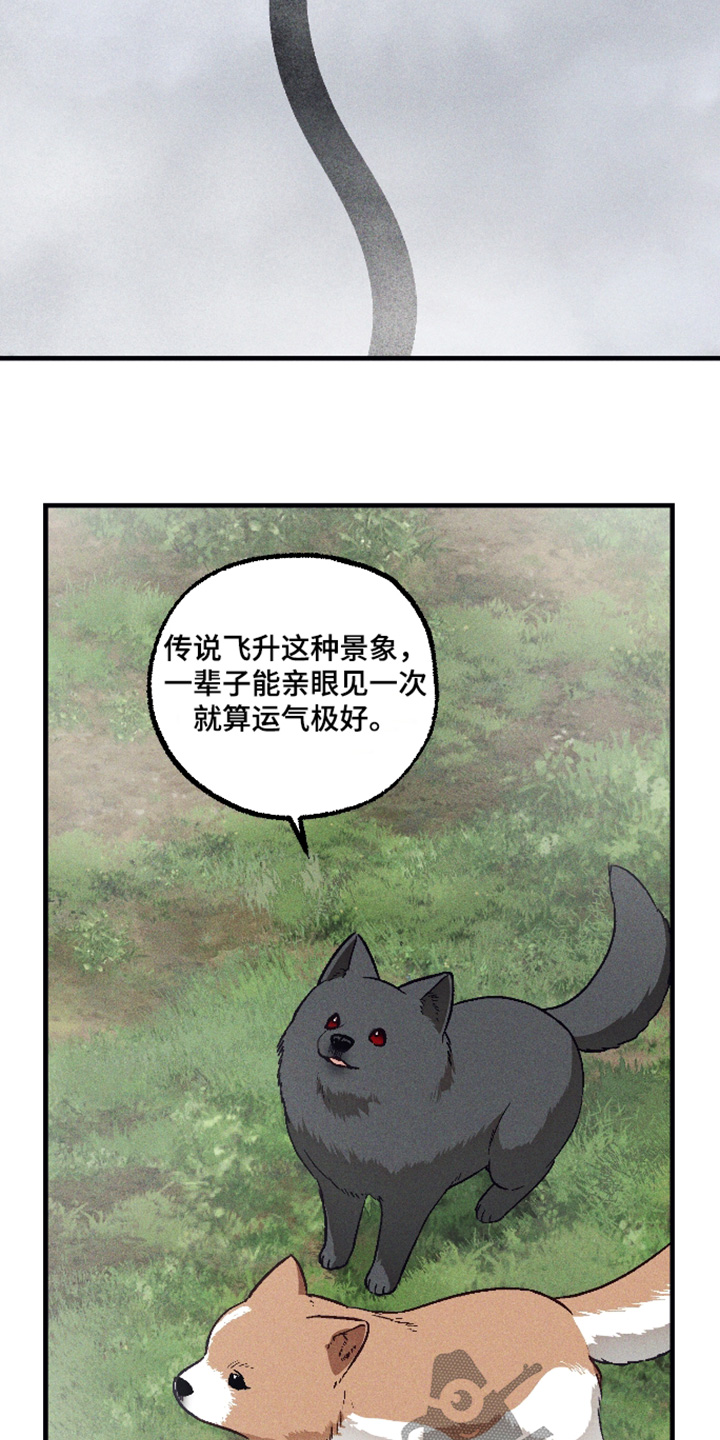 总裁的深渊契约漫画,第78章：【第二季】赶紧躲藏4图