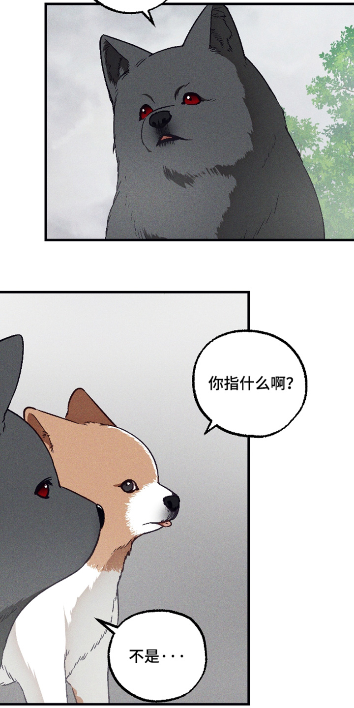 总裁的深渊契约漫画,第78章：【第二季】赶紧躲藏1图