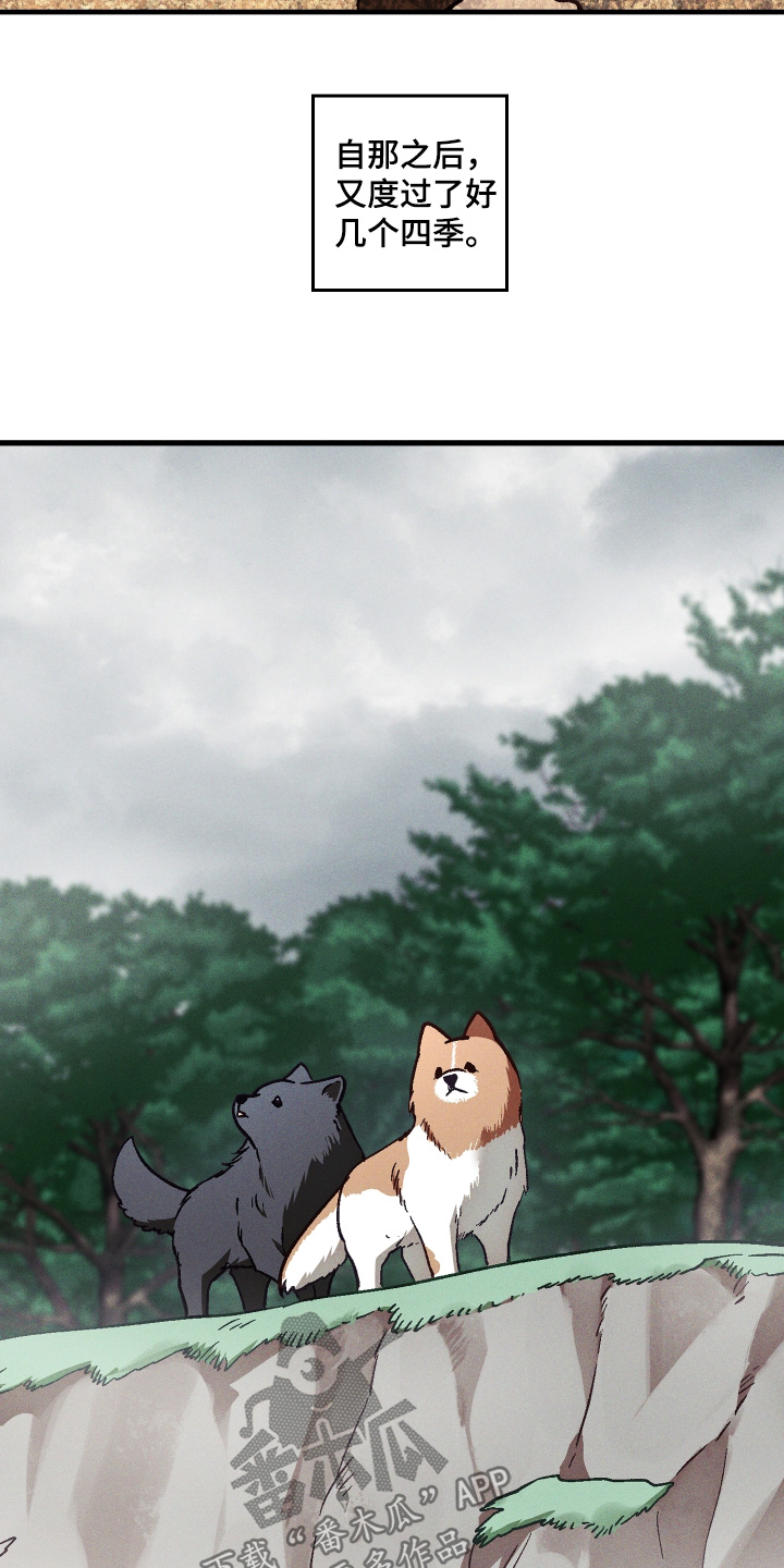总裁的深渊契约漫画,第77章：【第二季】你快看1图