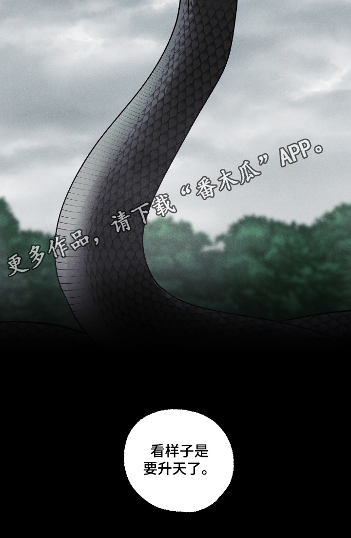 总裁的深渊契约漫画,第77章：【第二季】你快看5图
