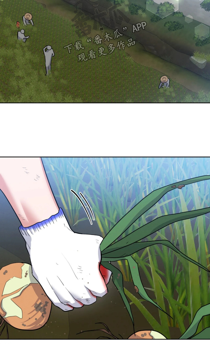 杀青心跳漫画,第98章：【第二季】目标完成1图