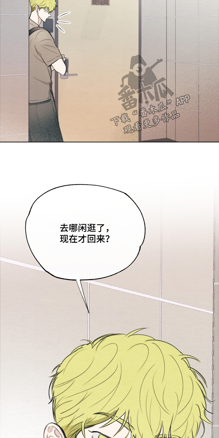 我的完美男友漫画,第81章：什么消息4图