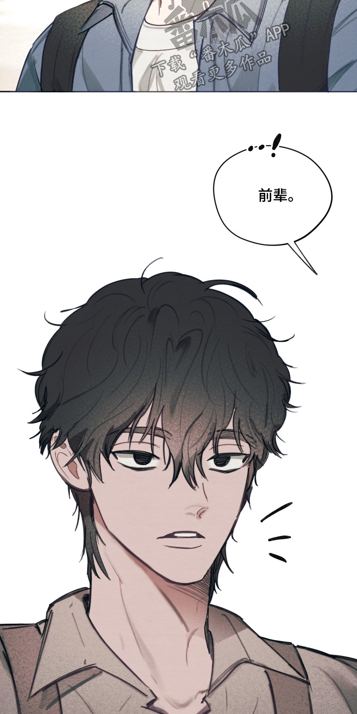我的完美男友漫画,第77章：十分重要1图