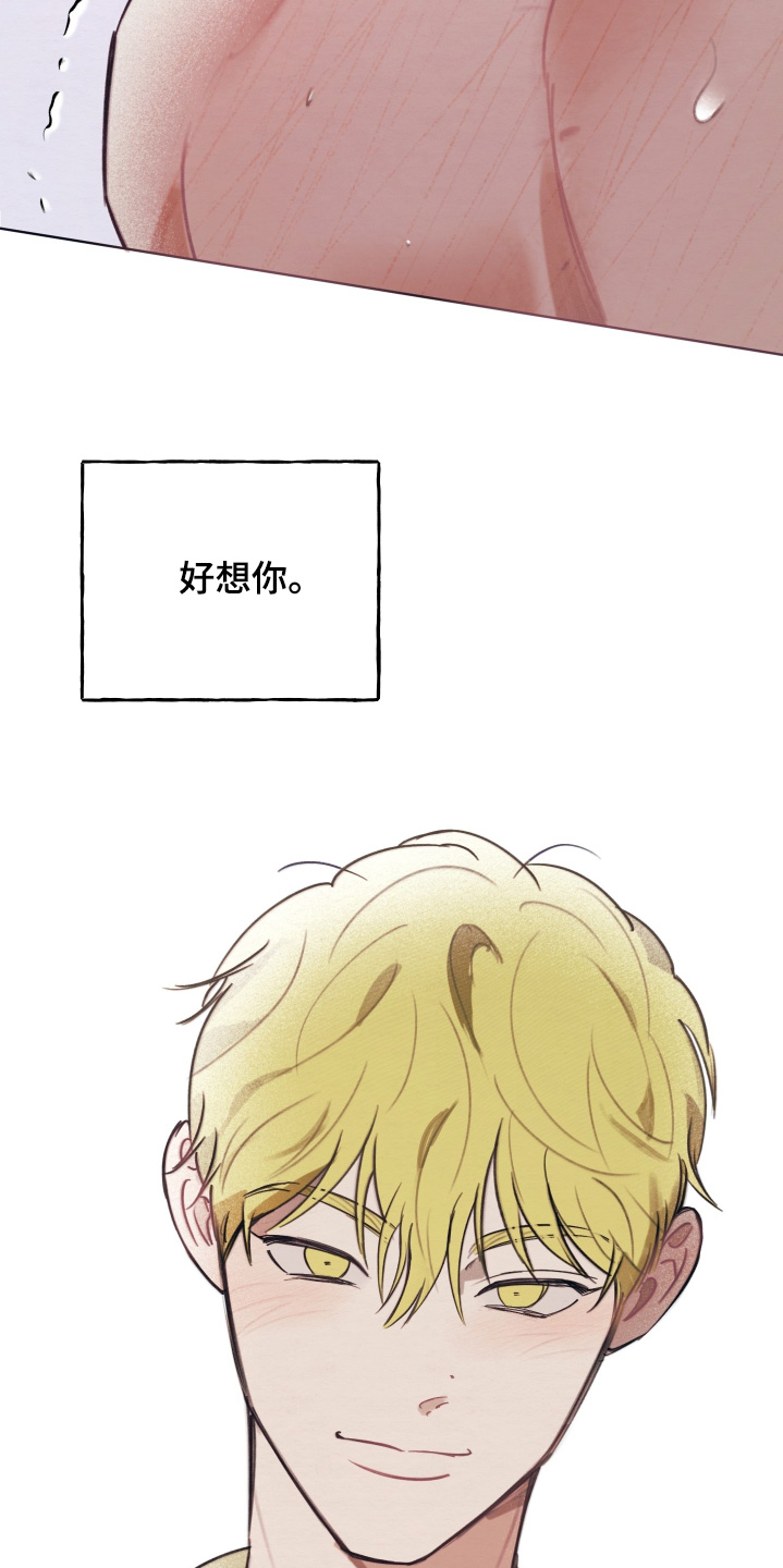 我的完美男友漫画,第76章：目前最好的选择5图