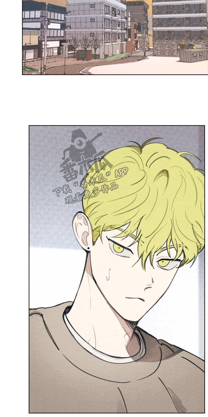 我的完美男友漫画,第81章：什么消息1图