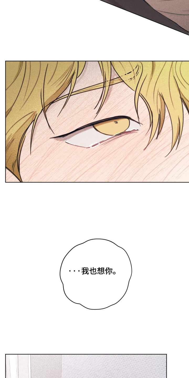 我的完美男友漫画,第83章：真的很想你1图