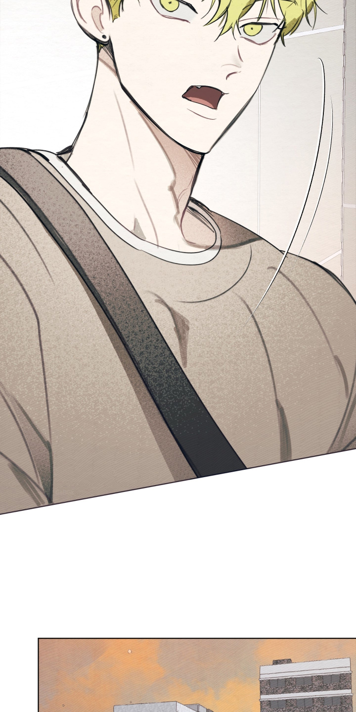 我的完美男友漫画,第81章：什么消息5图