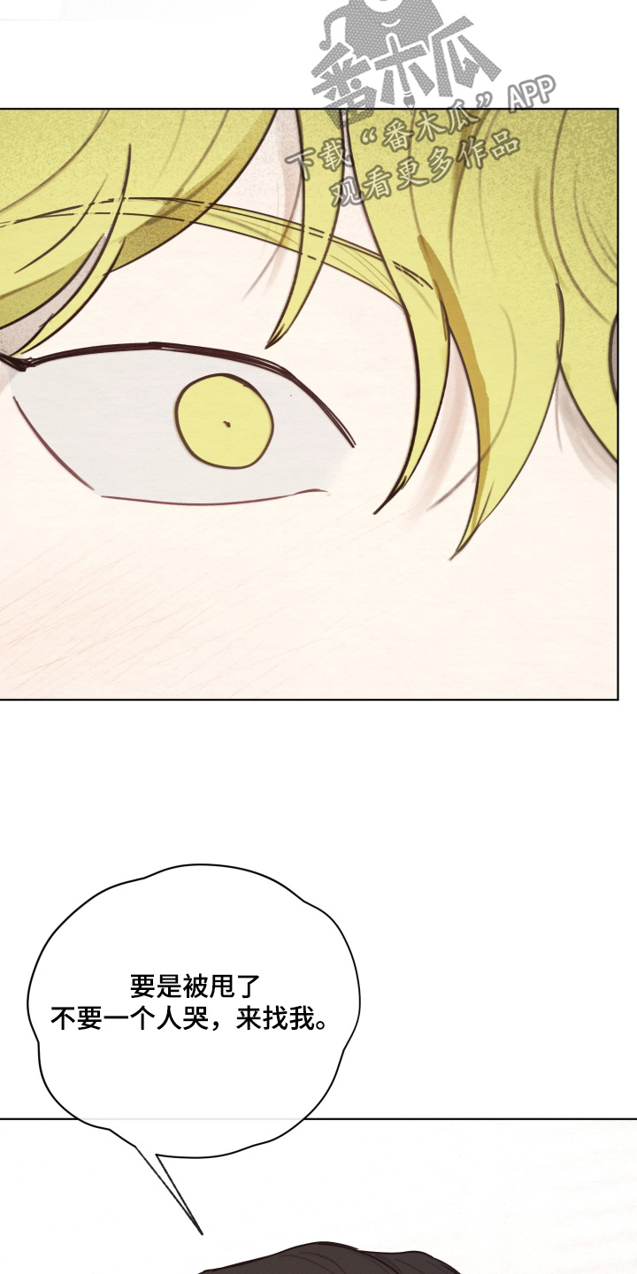 我的完美男友漫画,第75章：下定决心1图