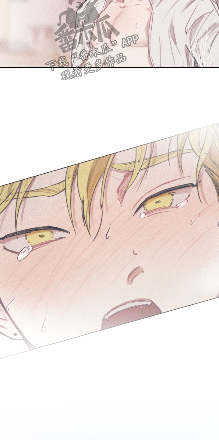 我的完美男友漫画,第76章：目前最好的选择4图