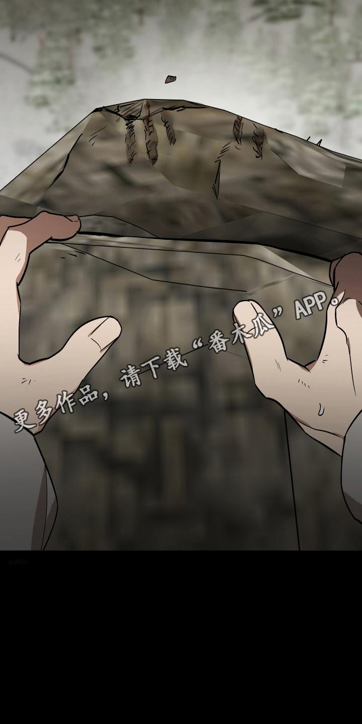前世的祈愿漫画,第115章：【第二季】跌落悬崖1图