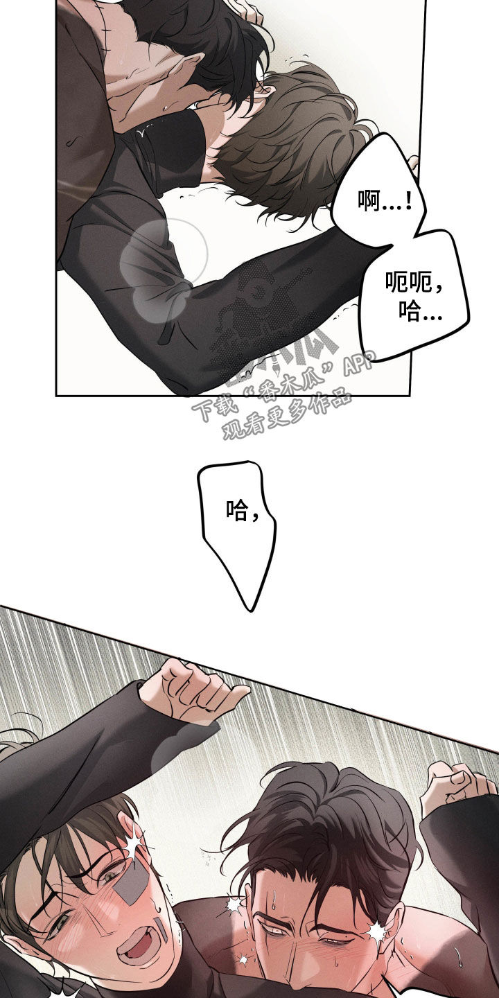 无息之行漫画,第64章：太棒了3图