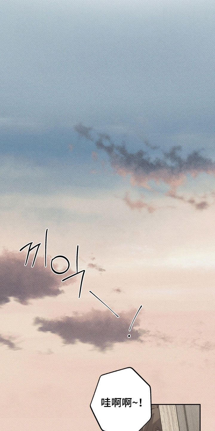 无息之行漫画,第60章：价值3图